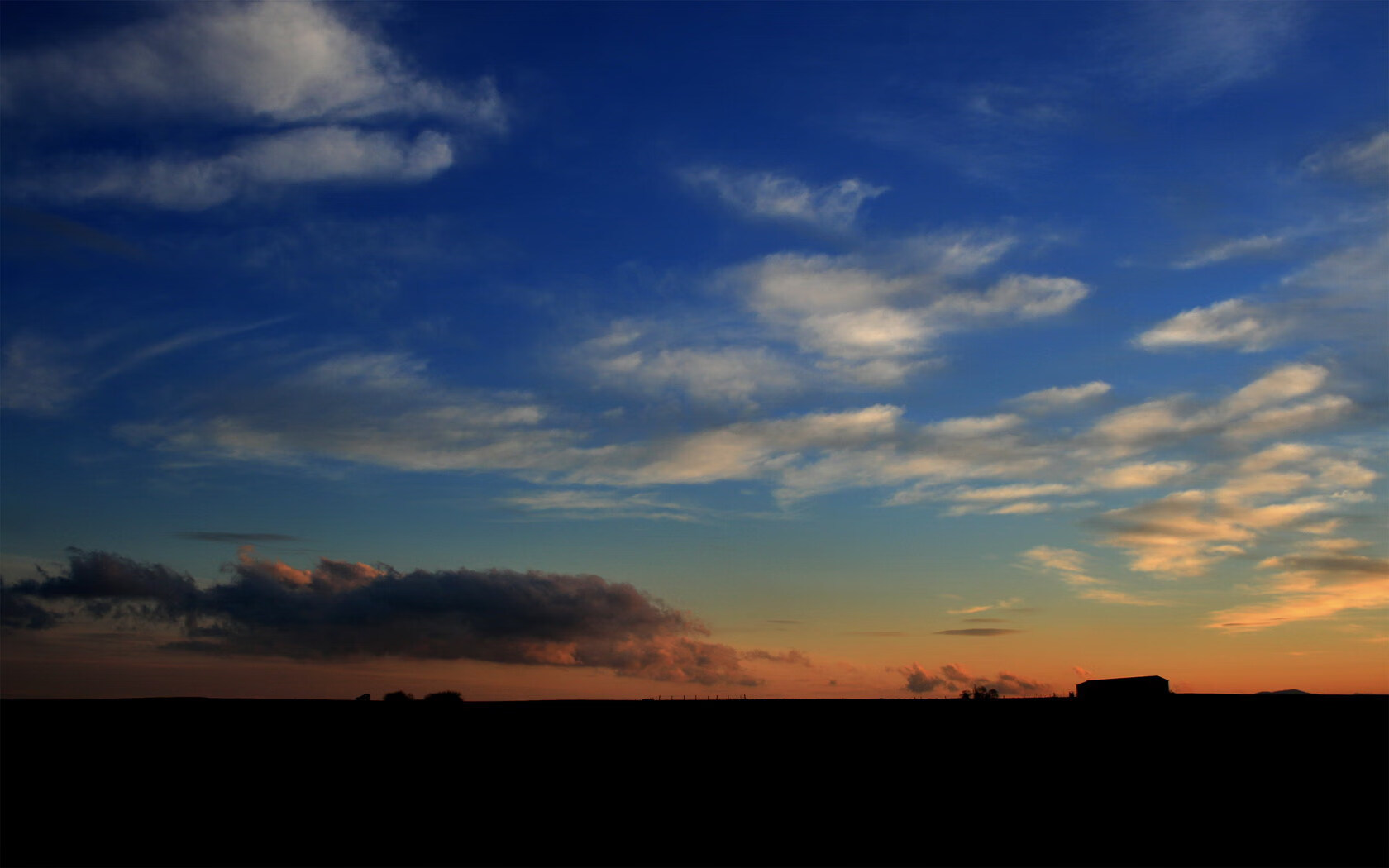 _猛龙展现坚韧，逆转战局成功_，猛龙岀击