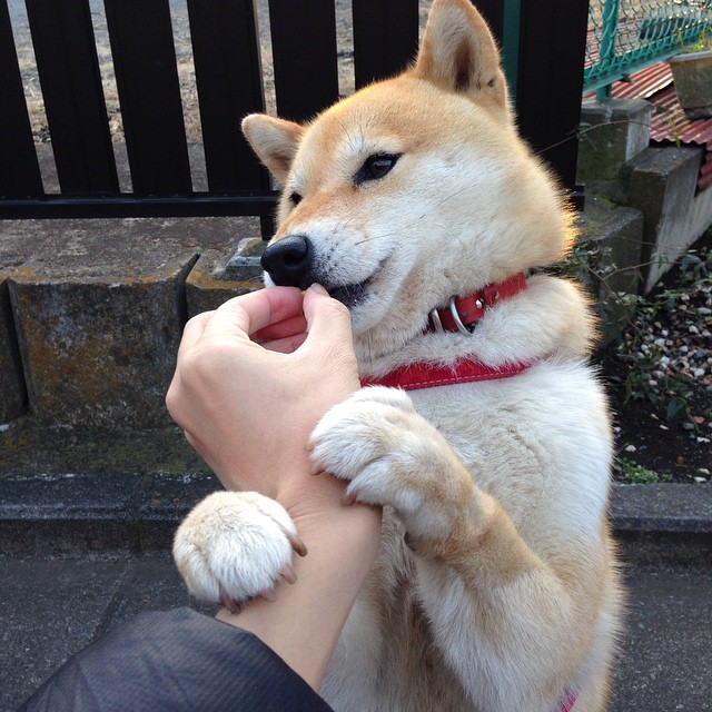 一线明星助阵,点燃现场气氛,一线明星榜