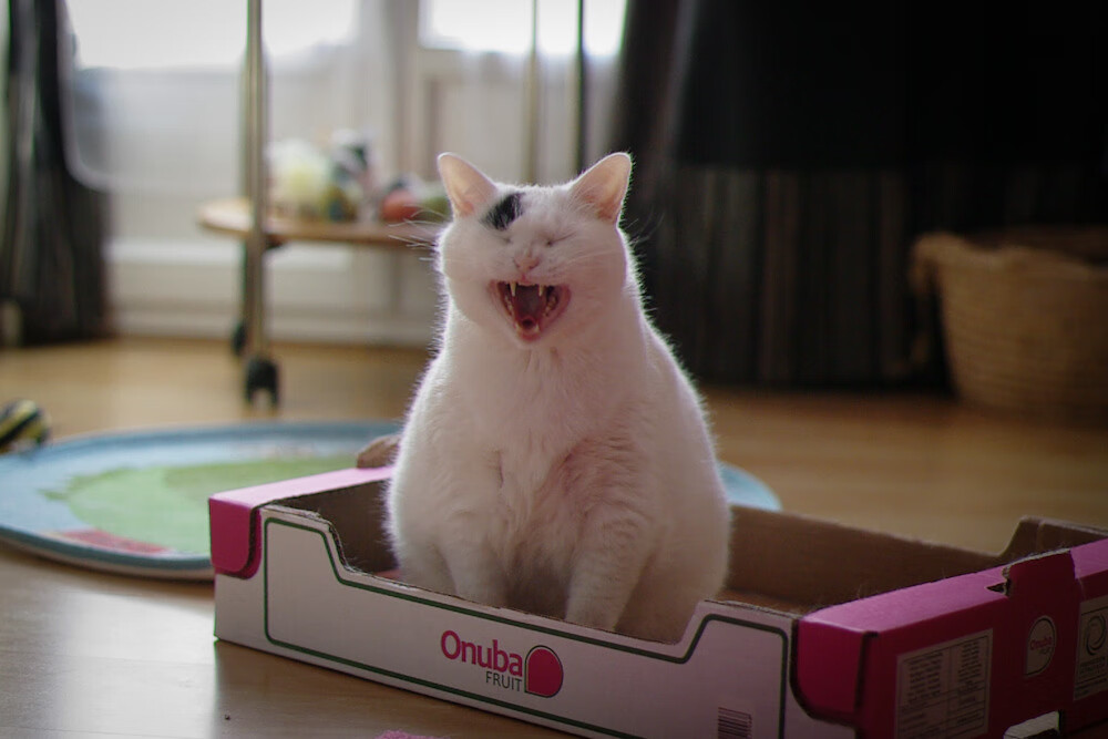 b体育APP-以人为本：关注电竞选手的心理健康和职业规划，电竞选手的职业素养