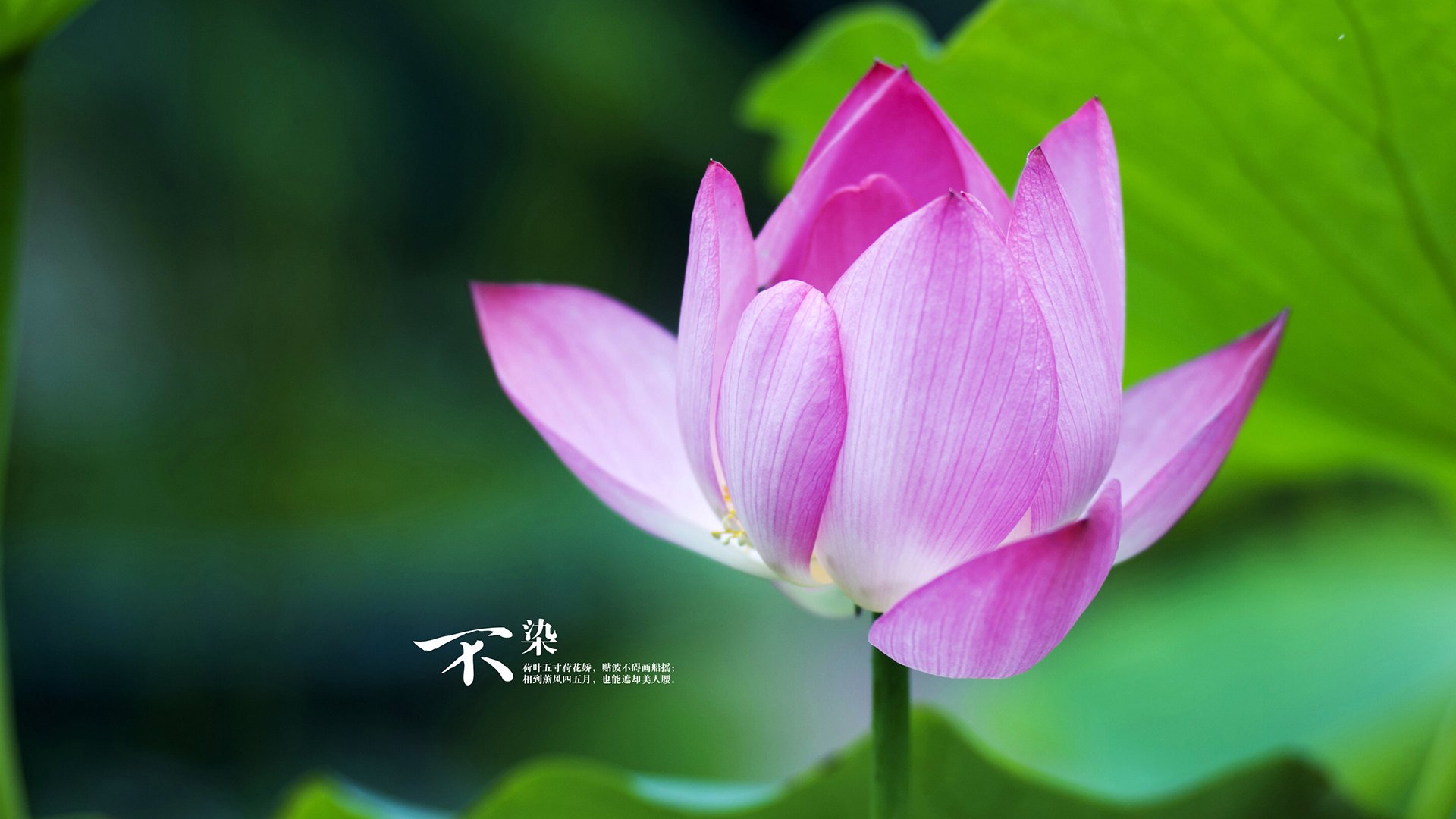 篮球明星退役后投身篮球产业发展，篮球退役的球星