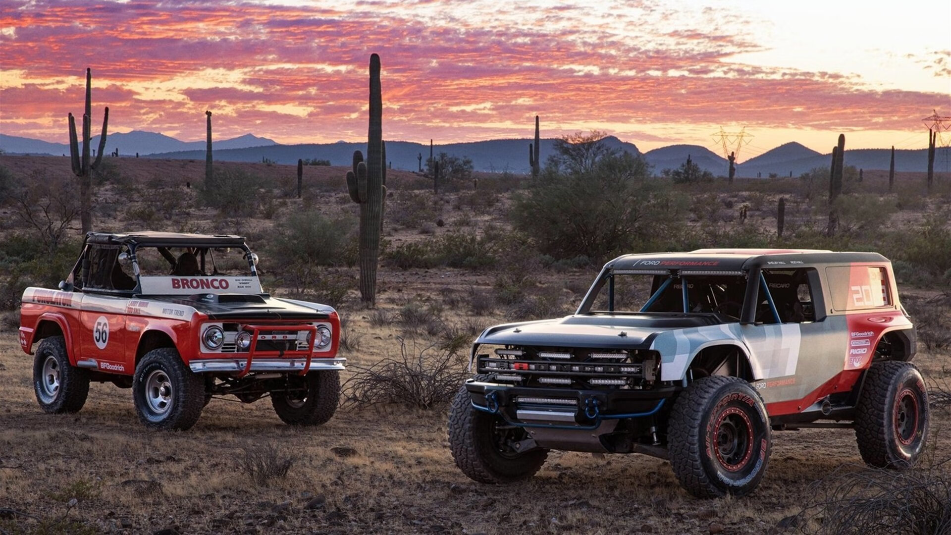 篮球明星退役后积极投身青训事业,打篮球退役的明星