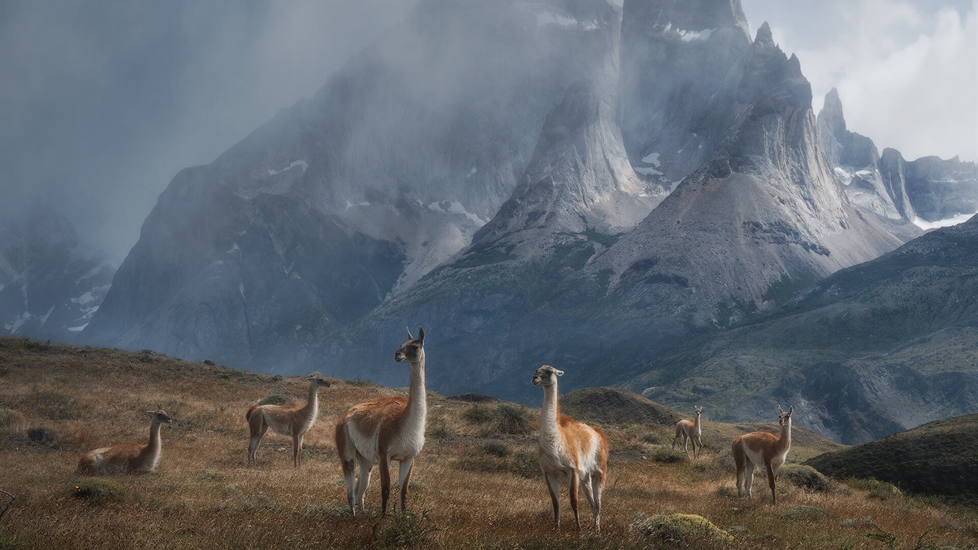 b体育入口-运动员战术板：模拟比赛策略分析，模拟比赛的作用