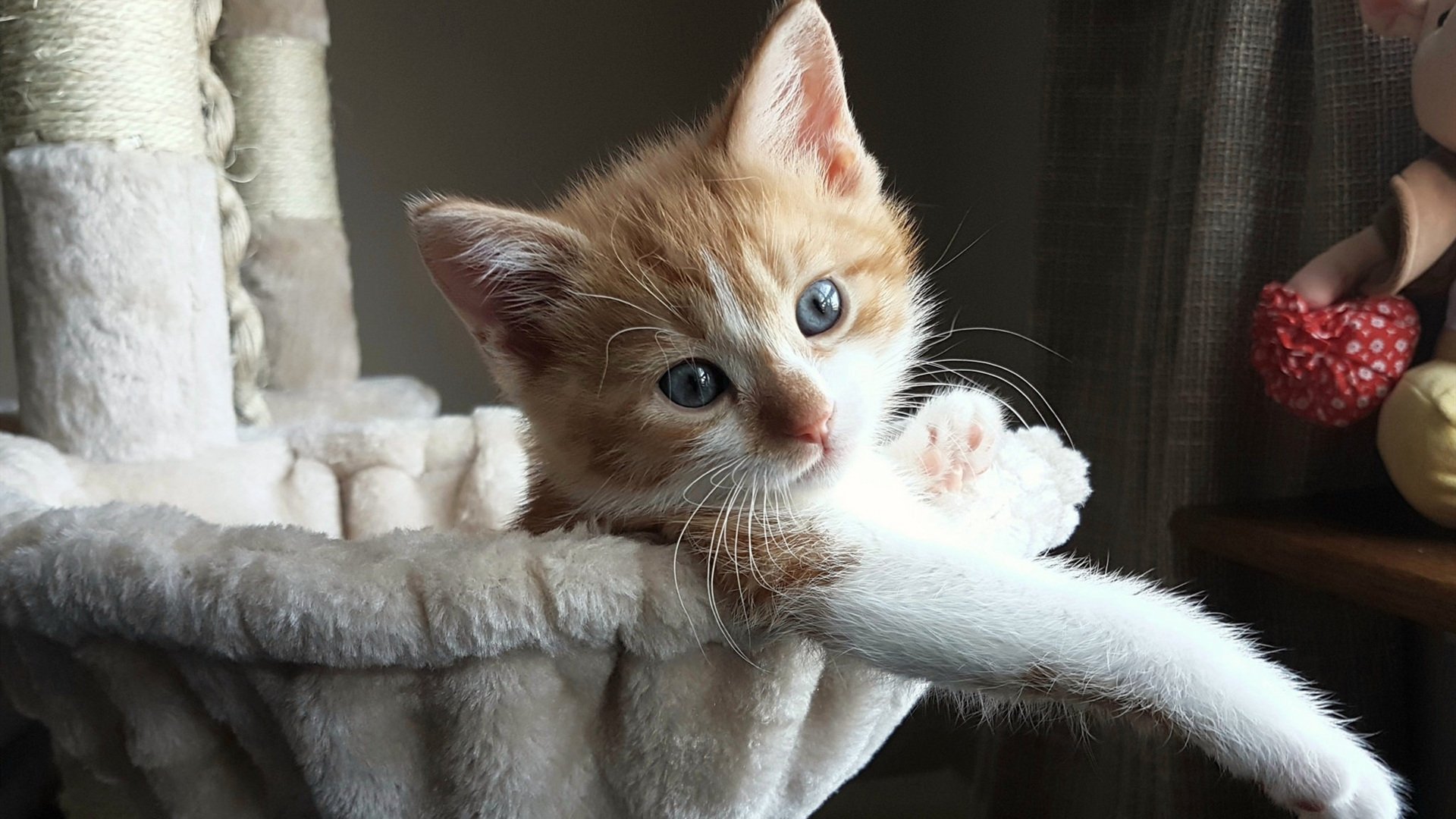 南安普顿中场球员出色发挥,球队取得胜利,南安普顿出的球星