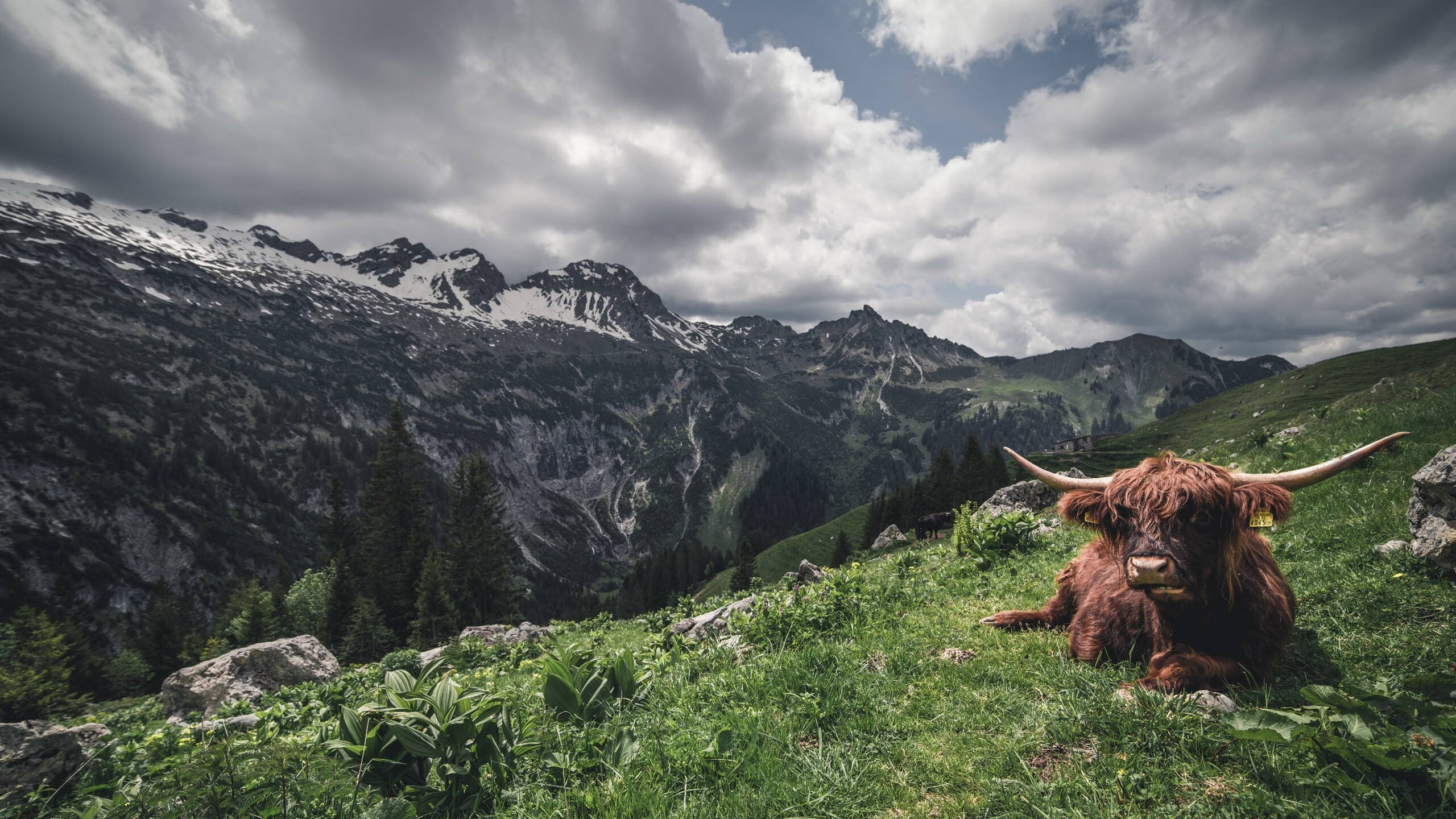 挪威队击败拉脱维亚,积分榜上升至第三,挪威球队最近比赛