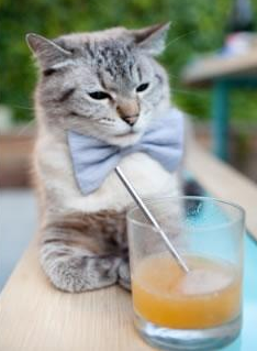 步行者在主场继续奋战，期待佳绩，步行者队主场球馆