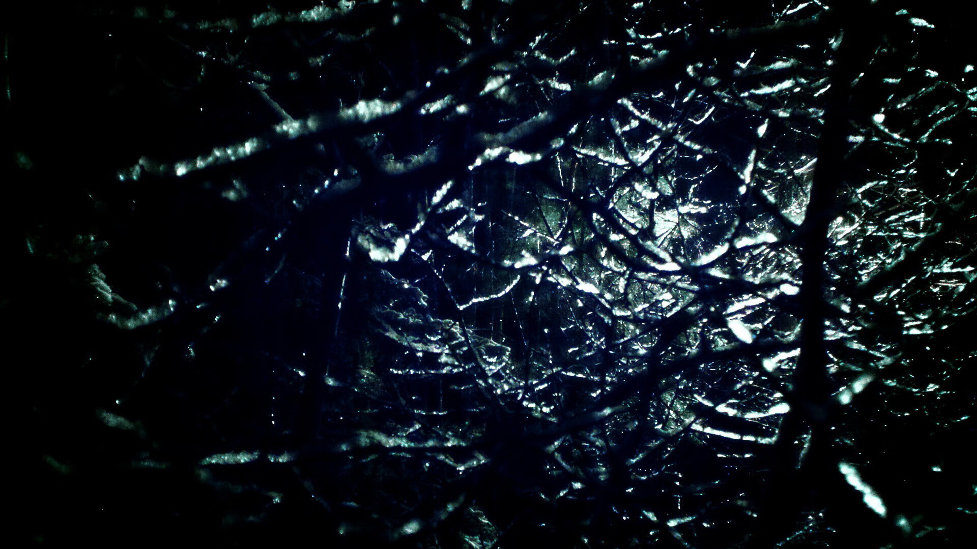 Bsports在线平台-泰国马术协会与科技公司合作，开发虚拟现实训练平台，提升骑手技能。