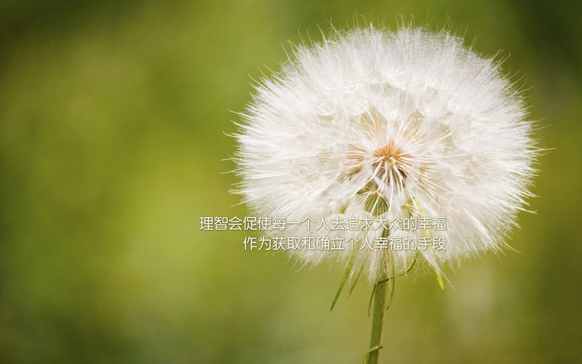 B体育(CHINA)官方网站-泰国马术协会与美洲马术协会合作，举办国际马术交流活动，促进文化互鉴。