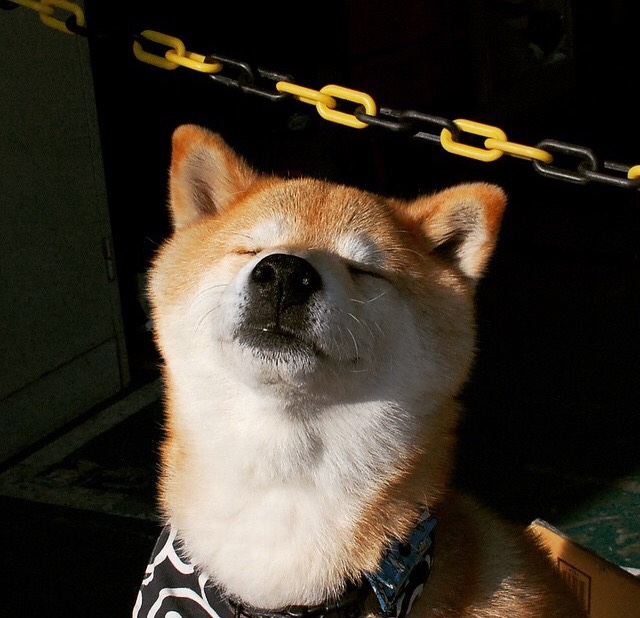 纽卡斯尔遭遇失利，保级前景黯淡，纽卡斯尔联什么水平