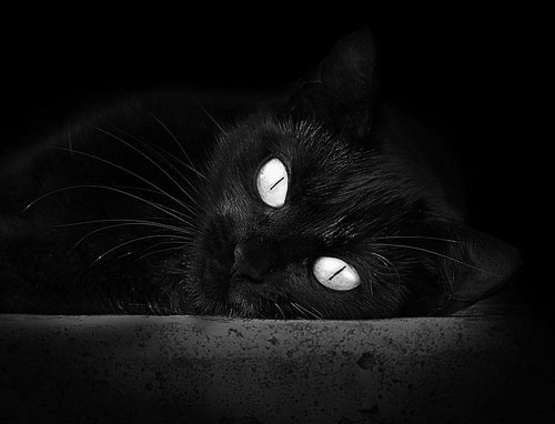 荷兰女足在预选赛中失去奥运资格,荷兰女足小组第一