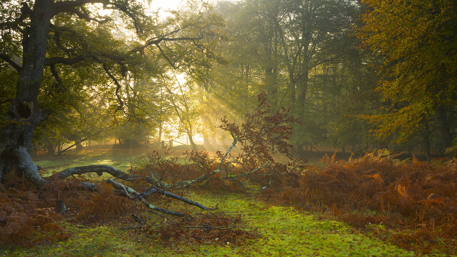 超强对手之间的对决让比赛更加激烈，对手很强大,我们要超越