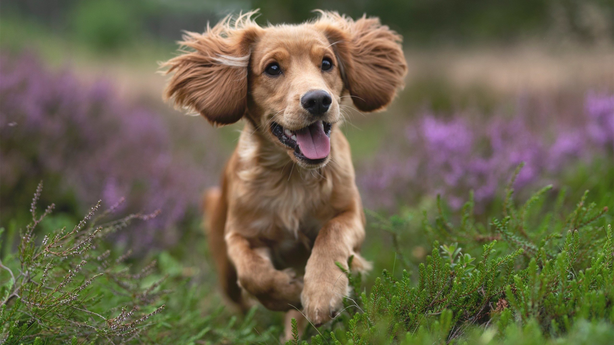 转会前线：本季最具潜力的青春球员盘点，近期转会的球员