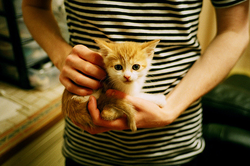 中国三人篮球世界系列赛再夺银牌 球迷掌声不断,中国三人篮球参赛名单