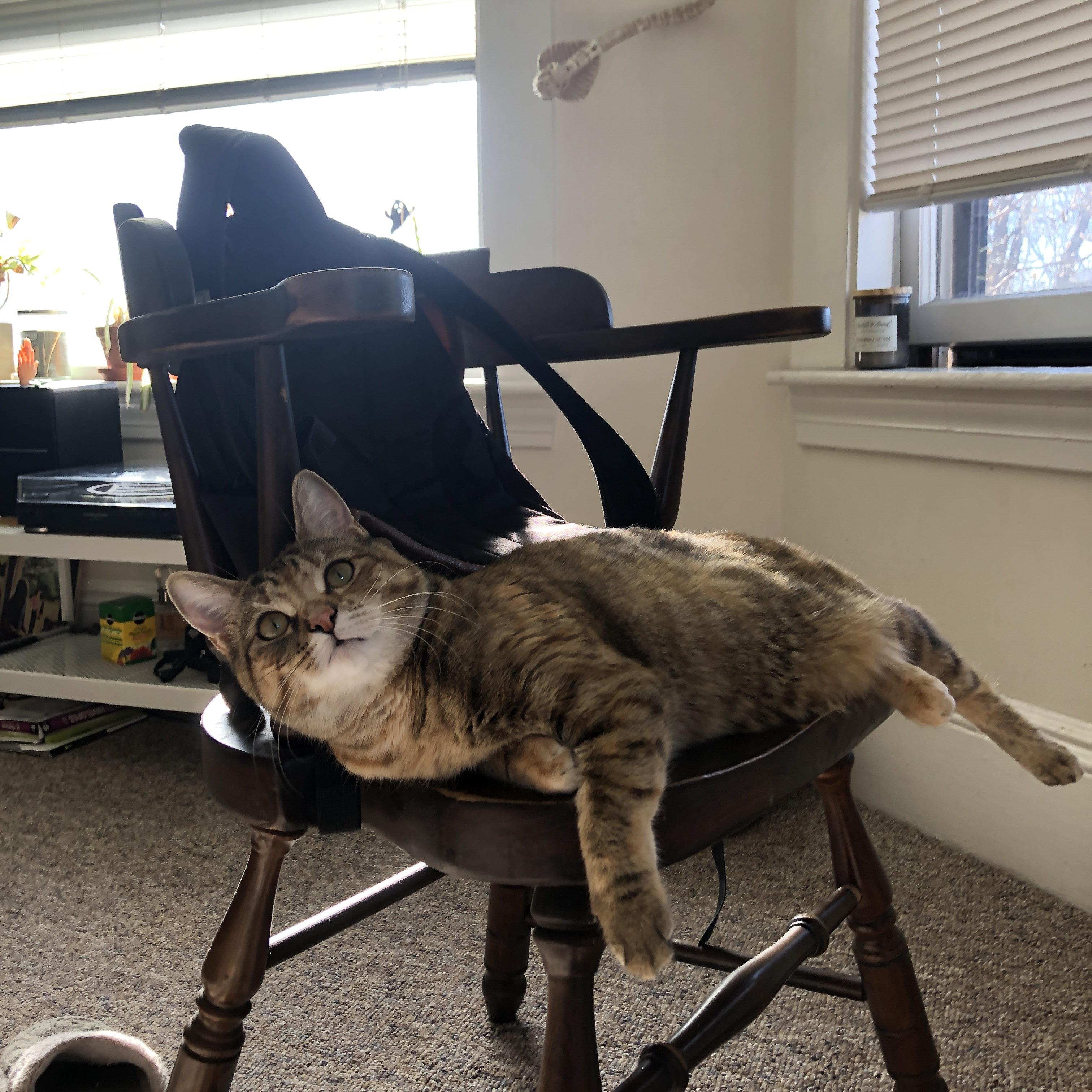 内马尔能否恢复状态成PSG未来关键，内马尔 状态