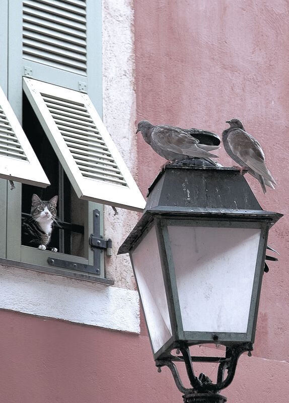 青训培养未建立体能成长曲线追踪机制,青训培养未建立体能成长曲线追踪机制的原因