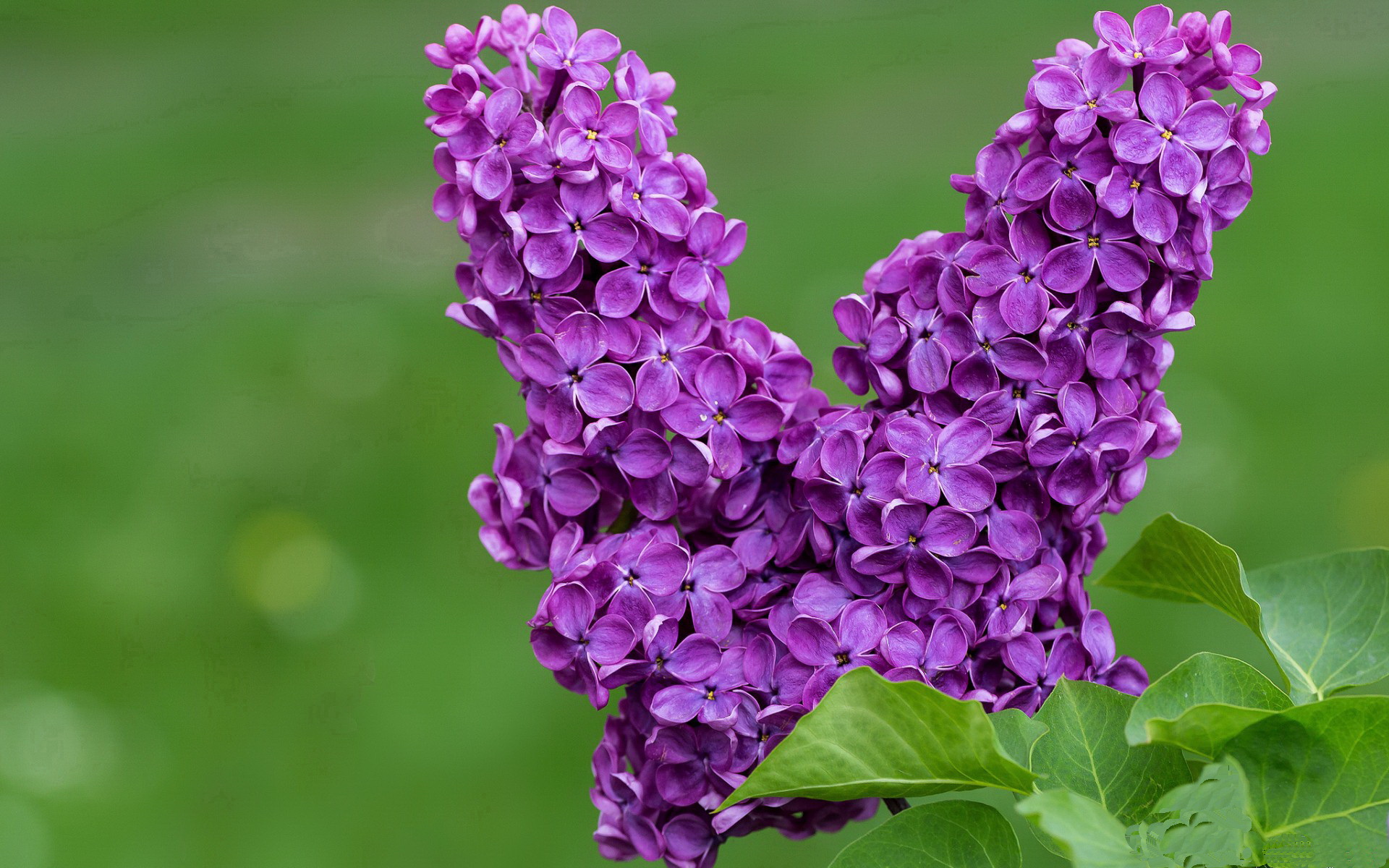 Bsports在线平台-青训营强化基础技术训练打牢技能根基，青年训练营总结